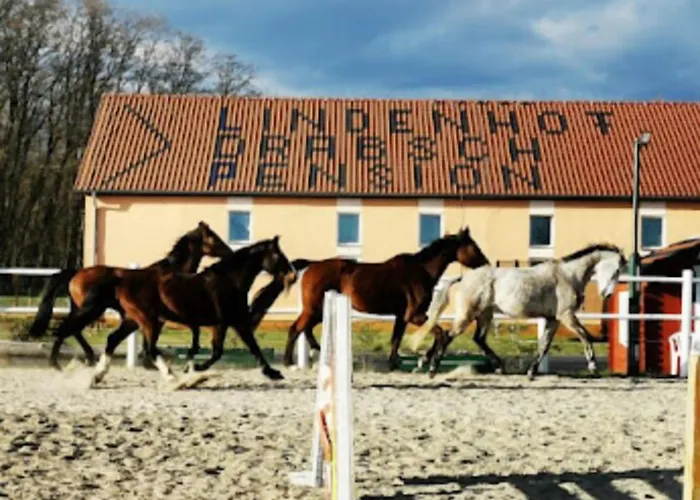 Lindenhof Drabsch 2* Bresinchen