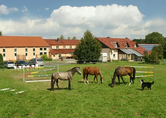 Hotel Lindenhof Drabsch
